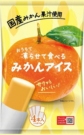 ＼ 記念品 ギフト　菓子類 / 【凍らせて食べるみかんアイス】 ” 健保組合・労働組合の組合員の方への福利厚生や記念品に ”