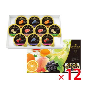 yikCEꏜjznʃ[[Mtg10 JKR-10 VZ 12Zbgysz