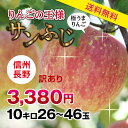 【送料無料】長野県産 りんご 訳あり 10kg | サンふじ 産地直送 訳あり 訳 訳有り リンゴ 傷あり 蜜入り 大小さまざま 太陽の光をいっぱい浴びた無袋栽...
