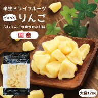 【送料無料】国産 ドライフルーツ りんご（ふじ）大袋 120g ｜ 長野産ふじりんごを一口サイズに ドライり…