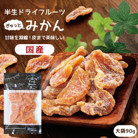 【送料無料】国産 ドライフルーツ みかん 大袋 90g | ギュッと濃縮されたミカンのおいしさ ドライミカン ドライみかん ミカン 蜜柑 オレンジ 半生ドライ プレゼント ドライフルーツ 果物 フルーツ 南信州菓子工房 プチギフト フォンダンウォーター お菓子 乾燥果実