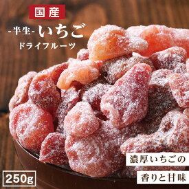 エントリーでP4倍！【送料無料 国産】ドライフルーツ いちご 250g | ドライいちご ドライイチゴ 苺 長野 信州 大容量 お徳用 お得用 ご自宅用 業務用 南信州菓子工房 半生ドライ 果物 フルーツ フォンダンウォーター お菓子