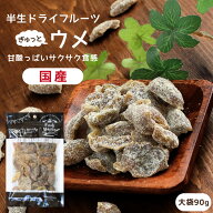 【送料無料】国産 ドライフルーツ 梅 大袋 90g サクサクとした食感 甘酸っぱいおいしさ 群馬産 白加賀梅 …