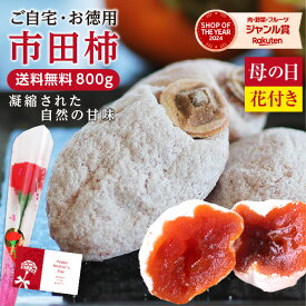 【送料無料 即日出荷】母の日 干し柿 市田柿 800g ご家庭用 大容量 長野県産 プレゼント 新物 お徳用 | 柿 干柿 訳あり お得用 お取り寄せ 果物 旬の果物 スイーツ フルーツ ドライフルーツ 国産 高糖度 信州 ギフト プレゼント 自然食品 冷凍 GIマーク認証 2026