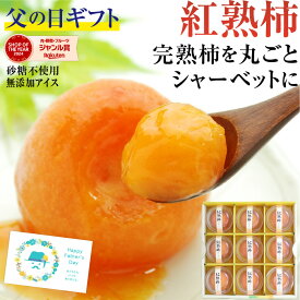 父の日 アイス 紅熟柿 9個入 市田柿を丸ごと1個使った氷菓子 シャーベット スイーツ 無添加 ギフト 砂糖不使用 国産原料のみ プレゼント 送料無料 | お取り寄せ 市田柿 干し柿 柿アイス 果物アイス 内祝 高級グルメ フルーツ 食品 柿 贈り物 贈答 お返し 2026