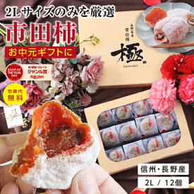 お中元 プレゼント 市田柿 干し柿 極 2Lサイズ ギフト 12個入 長野県産 個包装 冷凍 送料無料 最強翌日配送 | 国産 ワンランク上の贈り物 干柿 食べ物 お取り寄せ 内祝 贈答 スイーツ 高級感 フルーツ 果物 ドライフルーツ ブランド柿 冷凍 GIマーク認証品 御中元 2025
