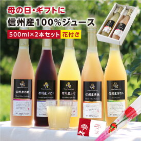 母の日 信州産 果汁100％ ジュース 2本 ギフト 選べるギフト 送料無料 最強翌日配送 | りんご 白桃 黄桃 洋なし ぶどう もも 旬に絞りました ストレートジュースを含む 国産 お取り寄せ 内祝 ギフト お祝い 出産祝い 出産内祝 詰め合わせ ジュースセット 2025
