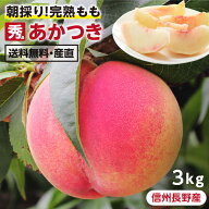 【送料無料】信州・長野産 桃 3kg あかつき 秀品 朝どり即日出荷 | 完熟 もも 産地直送 お中元 暑中お見…