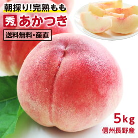 【送料無料】信州・長野産 桃 5kg あかつき 秀品 朝どり即日出荷 -Y07G | 完熟 もも 産地直送 お中元 内祝 贈答 ギフト プレゼント 旬の果物 フルーツ ピーチ おいしい桃 くだもの 甘い桃 化学肥料不使用 葉とらず モモ 取り寄せ 13～18玉 農家指定