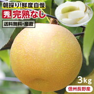 【送料無料】長野県産 梨 3kg 秀品 幸水 豊水 二十世紀 南水 完熟 なし 選べる品種｜和梨 こだわりの甘い…