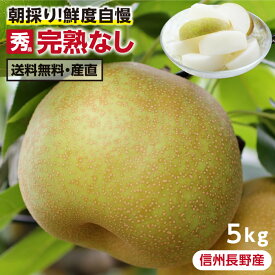 【送料無料】長野県産 梨 5kg 秀品 幸水 豊水 二十世紀 南水 完熟 なし 選べる品種｜和梨 こだわりの甘い梨 おいしい梨 旬の果物 お中元 ギフト 朝採り当日出荷 お取り寄せ フルーツ 産地直送 贈答用 プレゼント 国産 瑞々しい梨 農家限定 信州産