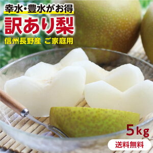 【送料無料】訳あり 梨 5kg 長野県産 幸水 or 豊水 ご自宅用 お徳用 ご家庭用 | なし 訳あり梨 和梨 ナシ 産地直送 旬の果物 大容量 フルーツ お得 果汁たっぷり 傷あり 変形果 お取り寄せ