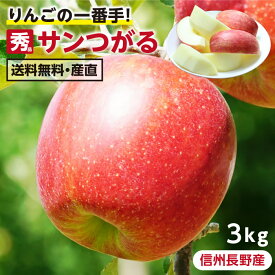 【送料無料】長野県産 りんご 3kg つがる 秀品 りんごの一番手 産地直送 8〜12玉 完熟りんご -S09J | 葉とらず栽培 サンつがる リンゴ 林檎 ツガル 津軽 おいしい 甘いりんご お取り寄せ 果物 旬の果物 フルーツ 鮮度抜群 国産 ギフト 贈答 贈り物 プレゼント 農家限定 信州