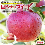 【送料無料】長野産 りんご シナノスイート 5kg 秀品 14〜20玉 産地直送 -Y10G | 葉とらずリンゴ リンゴ …