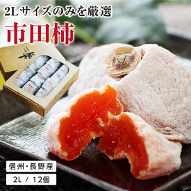 【送料無料・冷凍】母の日 早割 プレゼント 市田柿 干し柿 極 2Lサイズ ギフト 12個入 花付き 長野県産 個包装 あす楽 | 国産 ワンランク上の贈り物 干柿 お取り寄せ 内祝 出産祝い スイーツ 高級感 高糖度 フルーツ 果物 ドライフルーツ ブランド柿 GIマーク認証品 2024