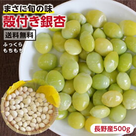 【送料無料】めちゃ旨！殻付き「生」 銀杏 500g （ 藤九郎 ）長野県産 産地直送 L～2Lサイズ以上の大粒を厳選 最強翌日配送 | 生銀杏 ギンナン ぎんなん おつまみ 電子レンジ 翡翠色 プチギフト 国産 野菜 おいしい 栄養満点 秋の味覚 旬の食材 レンジでチンで簡単調理 2025
