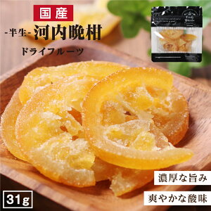 yzY hCt[c ͓ӊ  31g | Ïkꂽ|݂Ƒu₩Ȏ_ aO[vt[c hCk YhC F  hC v[g hCt[c 