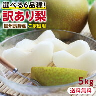 【送料無料】訳あり 梨 5kg 長野県産 幸水 / 豊水 / 二十世紀 / あきづき / 新高 / 南水 6品種からお好き…