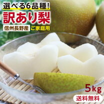 楽天市場】梨 自宅用の通販