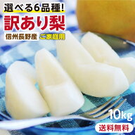 【送料無料】訳あり 梨 10kg 長野県産 幸水 / 豊水 / 二十世紀 / あきづき / 新高 / 南水 6品種からお好…