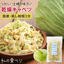 【送料無料】 乾燥野菜 国産 キャベツ きゃべつ 私の楽ベジ 100g 国産野菜 国産 乾燥キャベツ 乾燥きゃべつ ｜ ドライ野菜 干し野菜 ドライキャベツ ドライきゃべつ 常備菜 やさい 簡単 時短調理 保存食 非常食 仕送り 野菜不足解消 主婦の味方 生野菜約1kg分 1000円ポッキリ