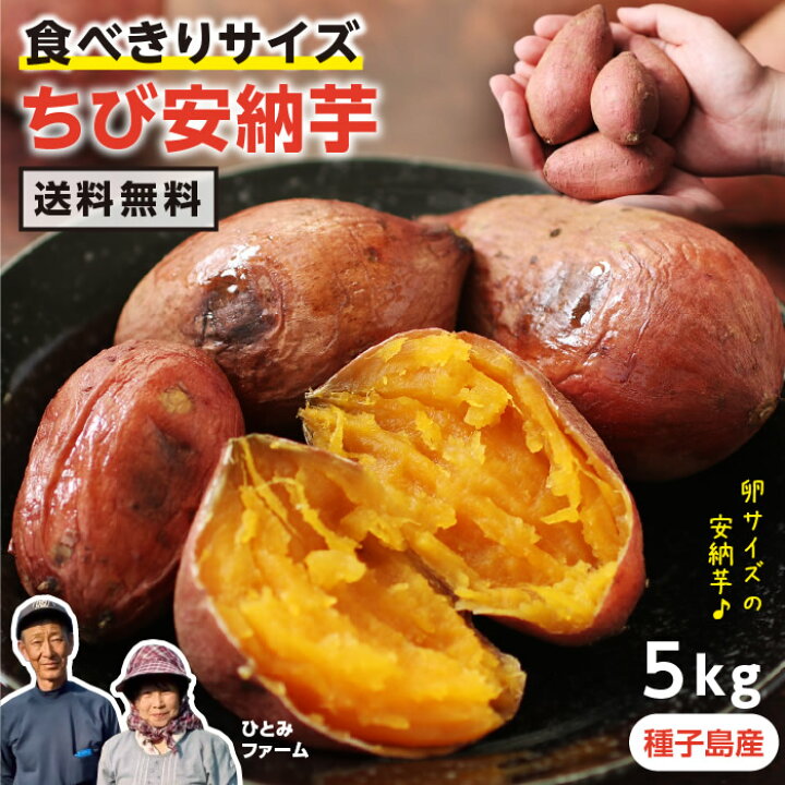 楽天市場 送料無料 種子島産 ちび安納芋 5kg S 3sサイズ混合 約60 80個入り 食べきりサイズ 産地直送 訳あり ひとみファーム 蜜芋 安納芋 生芋 小さい芋 さつまいも サツマイモ 焼き芋にちょうどいい 安納いも 甘くておいしい 生産者指定 ご自宅用 貯蔵熟成品