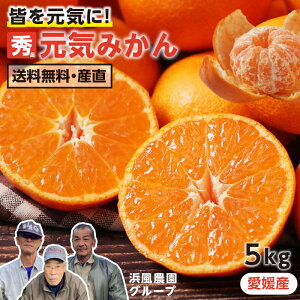 yzC݂ 5kg QY Gi Yn S`LTCY l_ ʌ -S10J | ݂ ~J Gi Â~J ݂ ̔_Ƃč͔|C݂ 