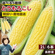 【送料無料】長野県産 とうもろこし 2Lサイズ 6本 約2kg 選べる3品種 ゴールデンタイム ゴールドラッシュ…