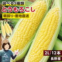 【送料無料】長野県産 とうもろこし 2Lサイズ 12本 約4kg 選べる3品種 ゴールデンタイム ゴールドラッシュ わくわくコーン | トウモロコシ 朝採り 鮮度抜群 当日出荷 夏野菜 産地直送 甘い 生で食べられる コーン 冷蔵発送 おいしい 贈り物 ギフト お中元 みのりファーム