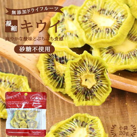 【送料無料】ドライフルーツ キウイ 20g 砂糖不使用 無添加 | ドライキウイ ドライキウイフルーツ 安心の国内加工 健康 美容 ヘルシー 自然派おやつ ヨーグルト プチギフト ギフト キウイフルーツ フォンダンウォーター お菓子 果物 フルーツ 乾燥果実