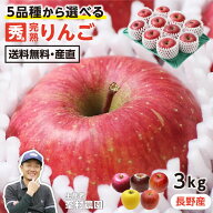 【送料無料】りんご 長野県産 秀品 3kg 8〜12玉 産地直送 完熟りんご 品種を選べる 秋映 サンふじ シナノ…