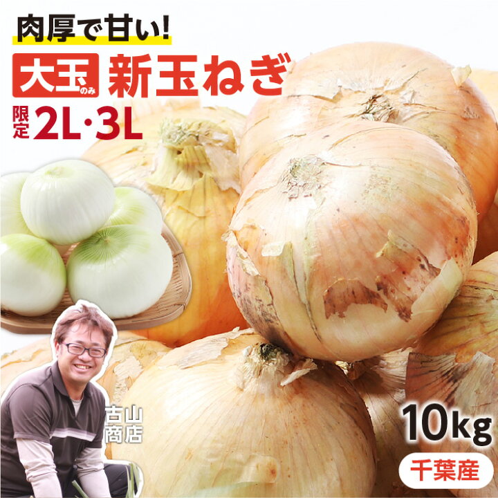 楽天市場】【送料無料】千葉県 白子町産 新玉ねぎ 10kg 大玉厳選 限定 