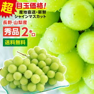 【送料無料】シャインマスカット 約2kg 秀品 ギフト 送料無料 産地厳選 山梨 長野産 一房あたり約500g 3…