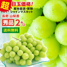 【送料無料】シャインマスカット 約2kg 秀品 ギフト 送料無料 産地厳選 山梨 長野産 一房あたり約500g 3～5房 ぶどう 産地厳選 皮ごと食べられる 大人気ブドウ 種なし | マスカット 高糖度 シャイン ブドウ フルーツ 果物 甘い のし ギフト プレゼント 贈答 旬の味覚 2026