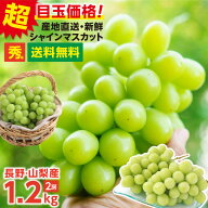 ＼楽天グルメ大賞受賞！先行予約／シャインマスカット 秀品 1.2kg 2房 ぶどう 送料無料 山梨 長野産 産地…