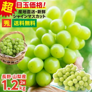 【即日出荷】＼楽天グルメ大賞受賞／ シャインマスカット ぶどう 秀品 1.2kg 2房 送料無料 山梨 長野産 産地厳選