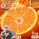 【送料無料 当日出荷】不知火 静岡県産 2L～3L 5kg 16～18玉 秀品 誠耕園もちづき みかん -Y03J | オレンジ ミカン フ…