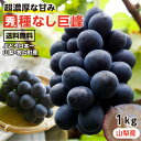 【送料無料】ぶどう 巨峰 種なし 約1kg 2房 秀品 山梨産 ブドウ 産地厳選 日本一のぶどう産地 山梨県牧丘町産限定 一房あたり約400～600g 大人気ブドウ 種無し | 高糖度 巨峰 葡萄 果物 高級 おいしい 美味い フルーツ 種無し巨峰 上品な香り 濃厚な甘さ 予約 2025