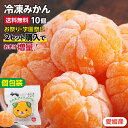 【送料無料】冷凍みかん 愛媛県産 10個 個包装 2セット購入で1セットおまけ！夏祭り お祭り | 冷凍ミカン 冷凍フルーツ シャーベット アイス 冷やしみかん 砂糖不使用 無添加 みきゃん お中元 ギフト プレゼント 学園祭 出店 文化祭 おやつ 瞬間冷凍でおいしさそのまま