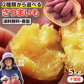 【送料無料】さつまいも 5kg 貯蔵熟成品 千葉県産 厳選Sサイズ 紅はるか シルクスイート 産地直送 土付き 甘いサツマイモ 糖化 追熟済み -S10G| 使いやすい Sサイズのみ さつま芋 薩摩芋 べにはるか 芋 お芋 野菜 ギフト プレゼント お歳暮 清水農園が丹精込めて育てました