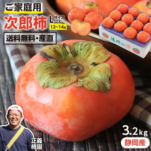 yzÉY Ê` Y` ƒp  LTCY 3.2kgȏ 12~14ʓ ` 햳` Ȃ` Yn YnI Y`̖{ ~nY | H̖o t[c ʕ  x J