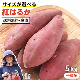 【送料無料】千葉県産 紅はるか 5kg M・Lサイズ 貯蔵熟成品 産地直送 土付き さつまいも サイズ選べる 甘いサツマイモ 糖化 追熟済み -S01T | さつま芋 薩摩芋 べにはるか 芋 お芋 野菜 根菜 大きい 大きいサイズ 甘い ねっとり 使いやすい 焼き芋 プレゼント 清水農園