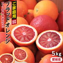 【送料無料】ブラッドオレンジ 国産 モロ 訳あり 5kg 愛媛県産 S～2Lサイズ タロッコ ご家庭用 2種類から選べる 約20…