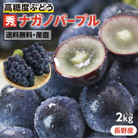 【送料無料 予約】 ぶどう ナガノパープル 秀品 約2kg 3〜5房 長野県産 産地直送 高糖度 種無し 皮ごと食べれる | 巨峰とリザマートから誕生 長野オリジナル 黒ぶどう フルーツ 果物 贈り物 贈答 ギフト 大粒のぶどう お取り寄せ 旬の果物 葡萄 ブドウ 長野パープル 2026