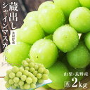 【送料無料】 蔵出し シャインマスカット ギフト 約2kg 秀品 3~5房 お歳暮 氷温貯蔵 山梨・長野産 大房 産地厳選 皮ごと食べられる 大人気ブドウ 種なし ぶどう | 高糖度 シャイン マスカット ブドウ 果物 贈り物 クリスマス プレゼント 御歳暮 フルーツ 贈答 2025