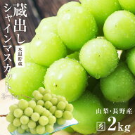 【送料無料】 蔵出し シャインマスカット ギフト 約2kg 秀品 3~5房 お年賀 氷温貯蔵 山梨・長野産 大房 …
