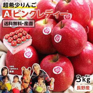 yz쌧Y  sNfB[ 3kg Ai 10`15 Yn _͔| ㊮n ܂_ | sNfB  _ς  Î_ς 󏭂