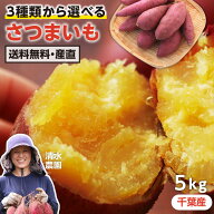 【高評価★4.8】さつまいも 5kg 紅はるか 貯蔵熟成品 千葉県産 S～2Sサイズ 送料無料 シルクスイート 紅…