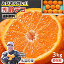 【送料無料 当日出荷】不知火 静岡県産 2L～3L 3kg 9～12玉 秀品 誠耕園もちづき みかん -Y03J | オレンジ ミカン フ…