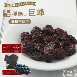 yz쌧Y 햳 60g sgp YbMBY hCԂǂ Ԃǂ [Y hC 햳Ԃǂ  F mIC Rh wV[  N e 